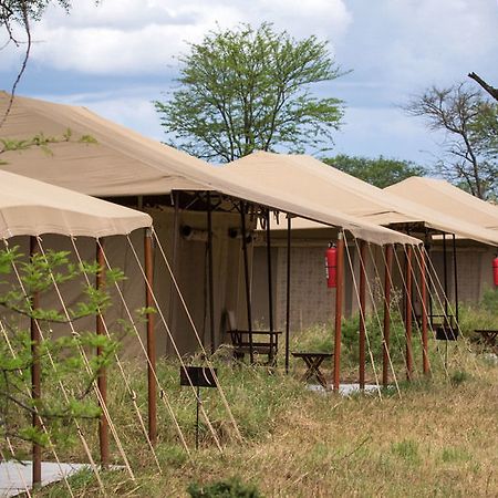 Serengeti Acacia Central Camp Hotel Exterior photo