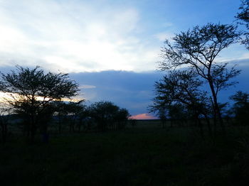 Serengeti Acacia Central Camp Hotel Exterior photo