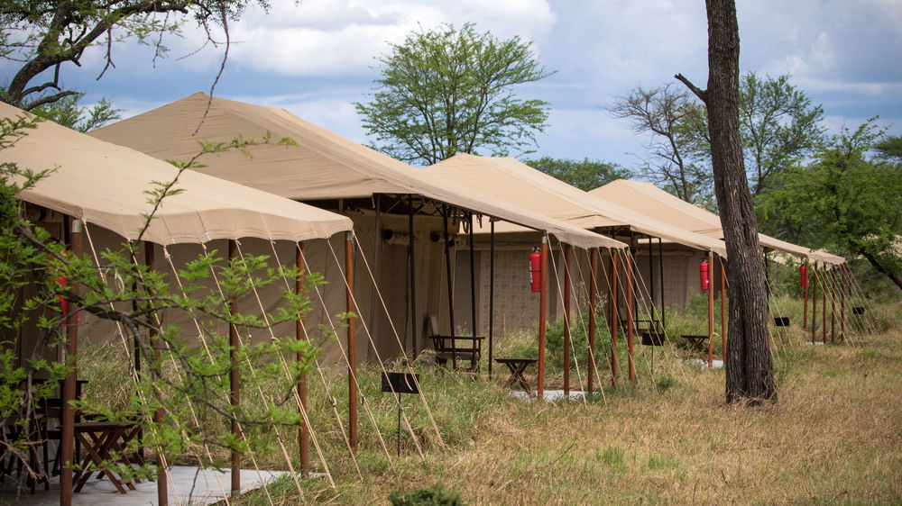 Serengeti Acacia Central Camp Hotel Exterior photo