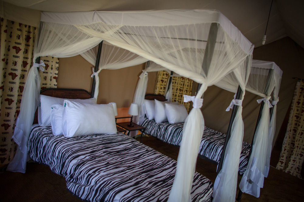 Serengeti Acacia Central Camp Hotel Exterior photo