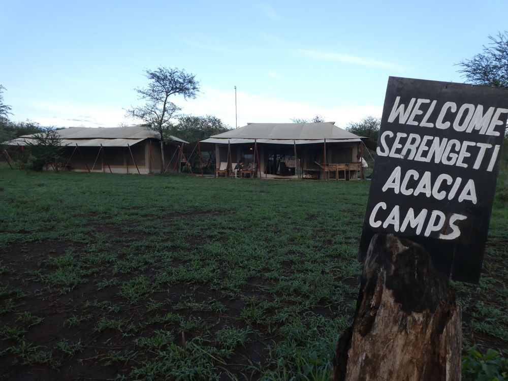 Serengeti Acacia Central Camp Hotel Exterior photo